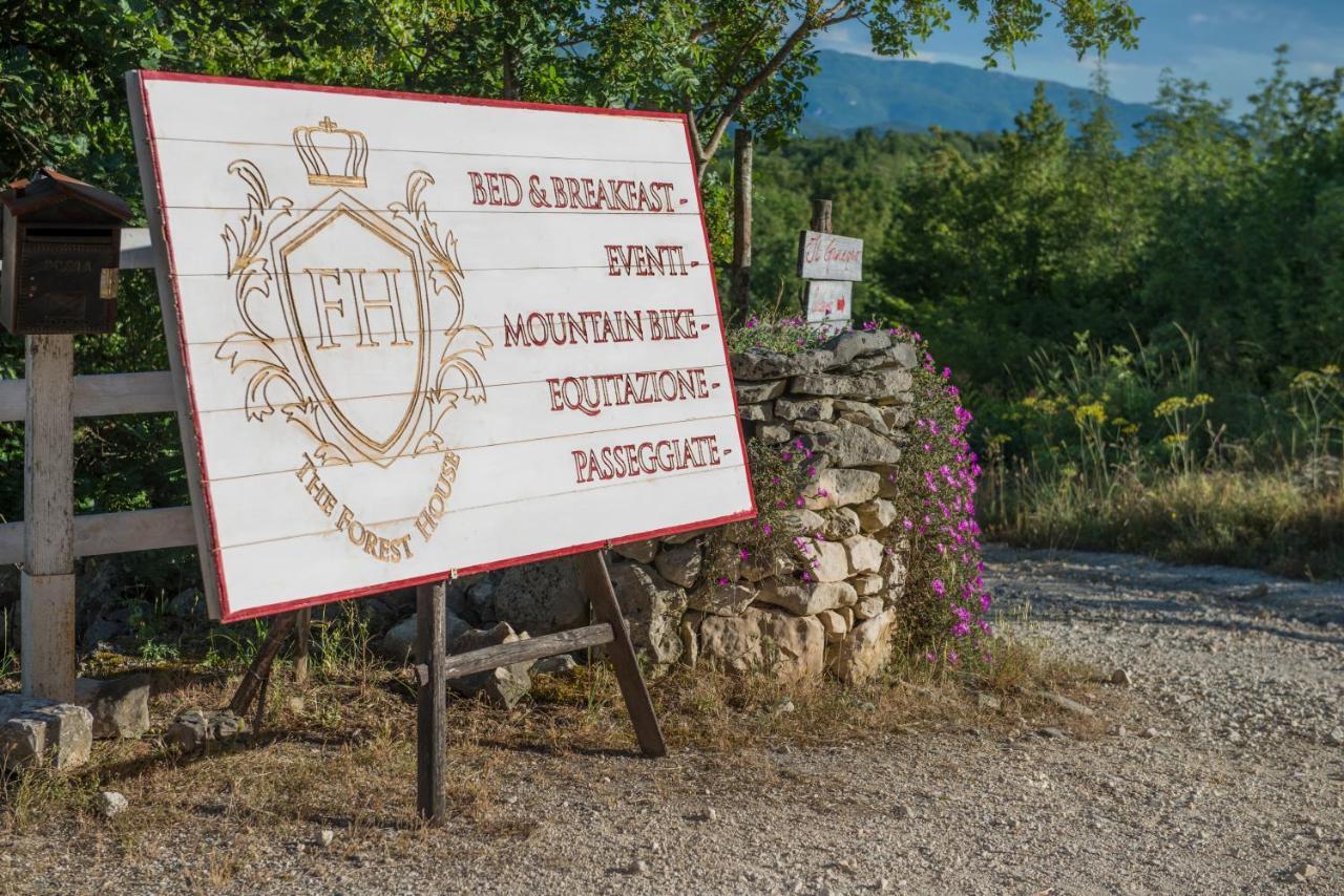 The Forest House Isernia Exterior foto